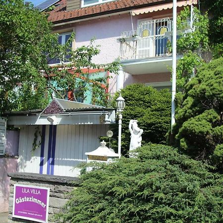 Lila Villa Schwenningen Villingen-Schwenningen Εξωτερικό φωτογραφία