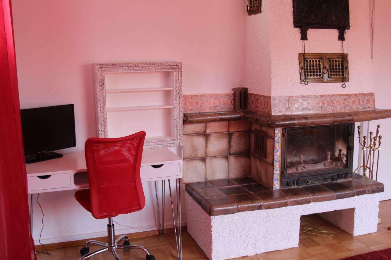 Lila Villa Schwenningen Villingen-Schwenningen Εξωτερικό φωτογραφία
